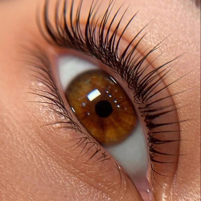 Lifting Lash + Tinte